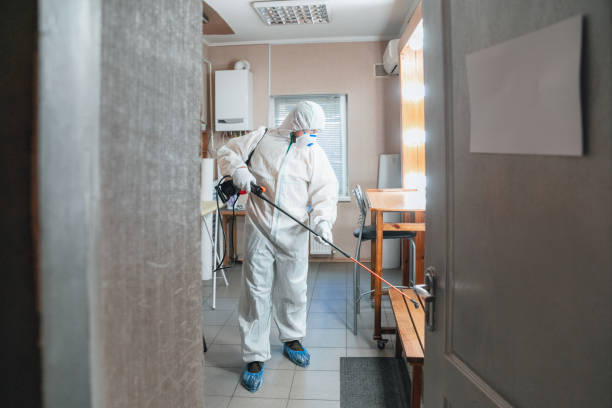 Best Mold Odor Removal Services  in Suncoast Estates, FL